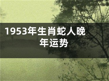 1953年生肖蛇人晚年运势