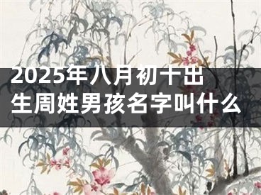 2025年八月初十出生周姓男孩名字叫什么