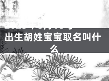 2025年8月18号出生胡姓宝宝取名叫什么