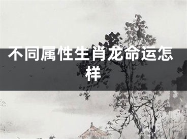 不同属性生肖龙命运怎样