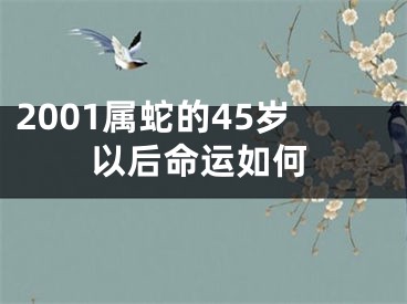 2001属蛇的45岁以后命运如何