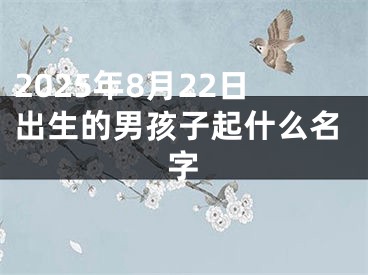 2025年8月22日出生的男孩子起什么名字