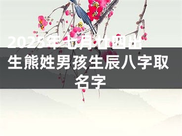 2025年七月廿四出生熊姓男孩生辰八字取名字