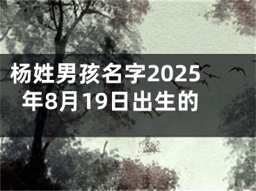 杨姓男孩名字2025年8月19日出生的