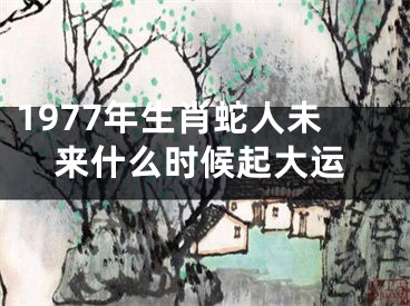 1977年生肖蛇人未来什么时候起大运