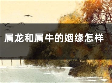 属龙和属牛的姻缘怎样