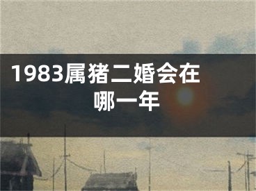 1983属猪二婚会在哪一年