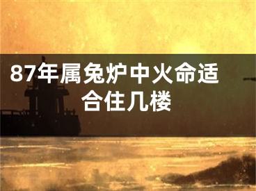 87年属兔炉中火命适合住几楼