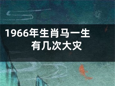 1966年生肖马一生有几次大灾