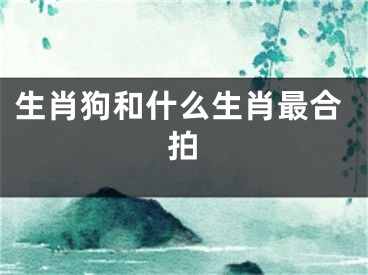 生肖狗和什么生肖最合拍