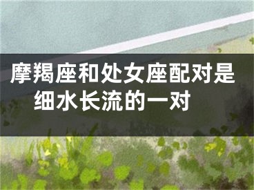 摩羯座和处女座配对是细水长流的一对 
