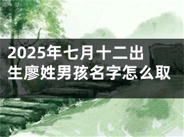 2025年七月十二出生廖姓男孩名字怎么取
