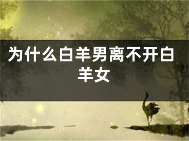 为什么白羊男离不开白羊女