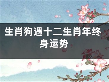 生肖狗遇十二生肖年终身运势