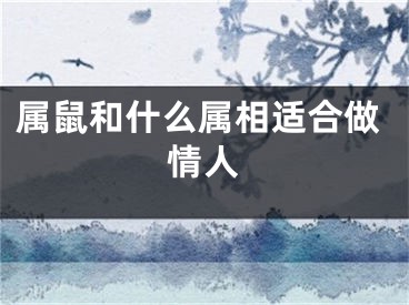 属鼠和什么属相适合做情人