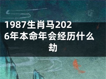 1987生肖马2026年本命年会经历什么劫