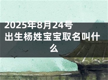 2025年8月24号出生杨姓宝宝取名叫什么