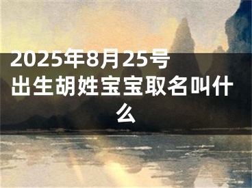 2025年8月25号出生胡姓宝宝取名叫什么