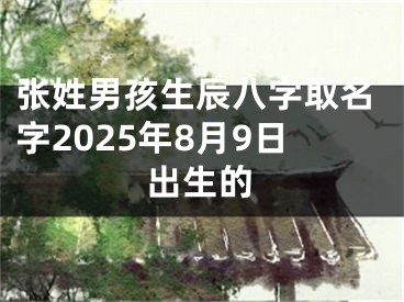 张姓男孩生辰八字取名字2025年8月9日出生的