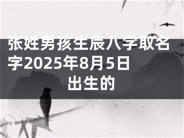 张姓男孩生辰八字取名字2025年8月5日出生的