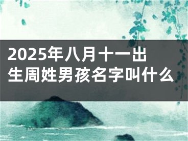 2025年八月十一出生周姓男孩名字叫什么
