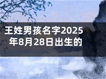 王姓男孩名字2025年8月28日出生的