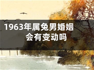 1963年属兔男婚姻会有变动吗