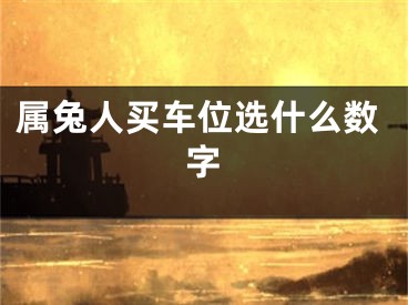 属兔人买车位选什么数字