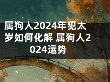 属狗人2024年犯太岁如何化解 属狗人2024运势