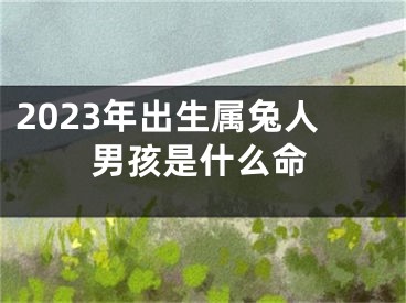2023年出生属兔人男孩是什么命