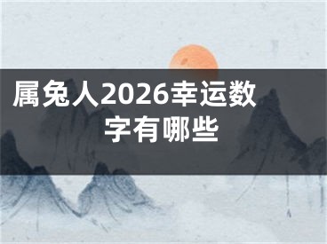 属兔人2026幸运数字有哪些