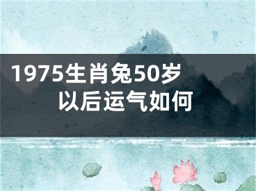 1975生肖兔50岁以后运气如何