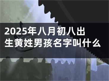 2025年八月初八出生黄姓男孩名字叫什么