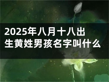 2025年八月十八出生黄姓男孩名字叫什么