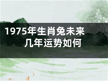 1975年生肖兔未来几年运势如何
