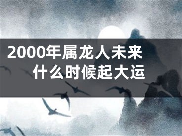2000年属龙人未来什么时候起大运