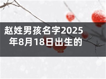 赵姓男孩名字2025年8月18日出生的