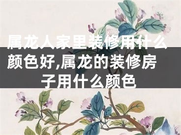 属龙人家里装修用什么颜色好,属龙的装修房子用什么颜色