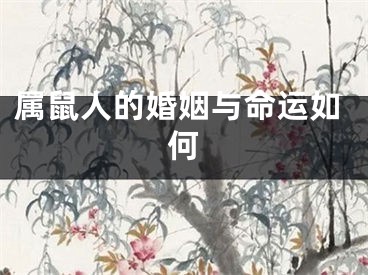 属鼠人的婚姻与命运如何