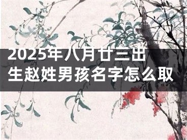 2025年八月廿三出生赵姓男孩名字怎么取