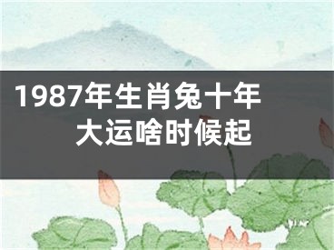 1987年生肖兔十年大运啥时候起