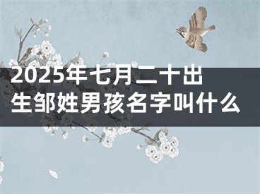 2025年七月二十出生邹姓男孩名字叫什么