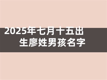 2025年七月十五出生廖姓男孩名字