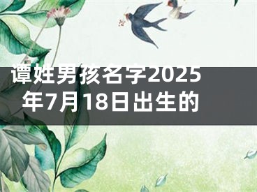 谭姓男孩名字2025年7月18日出生的