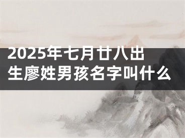 2025年七月廿八出生廖姓男孩名字叫什么