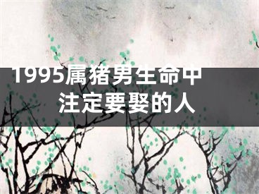 1995属猪男生命中注定要娶的人