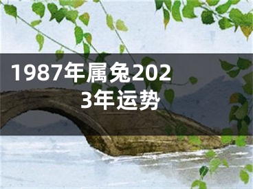 1987年属兔2023年运势