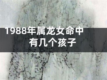 1988年属龙女命中有几个孩子