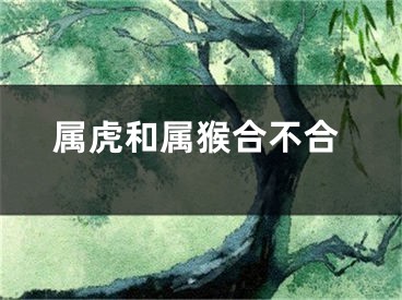 属虎和属猴合不合