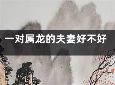 一对属龙的夫妻好不好